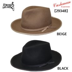 画像1: CUSHMAN(クッシュマン) FELT HAT (1)