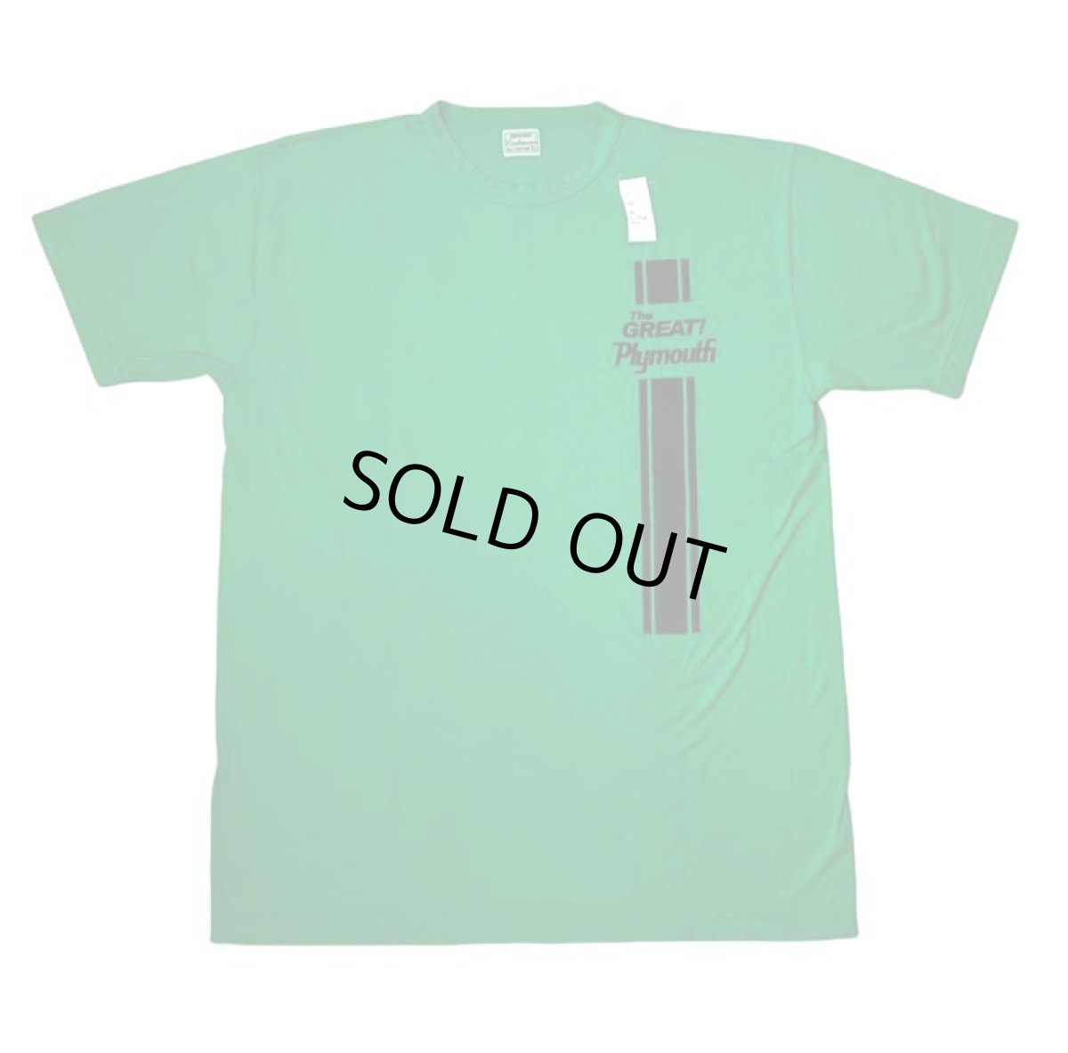 画像2: CUSHMAN(クッシュマン) RECYCLE COTTON TEE (PLYMOUTH) (2)