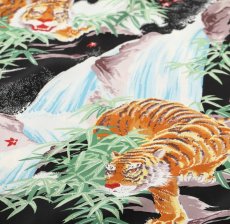 画像13: SUNSURF (サンサーフ) SPECIAL EDITION “SASA TORA” (13)