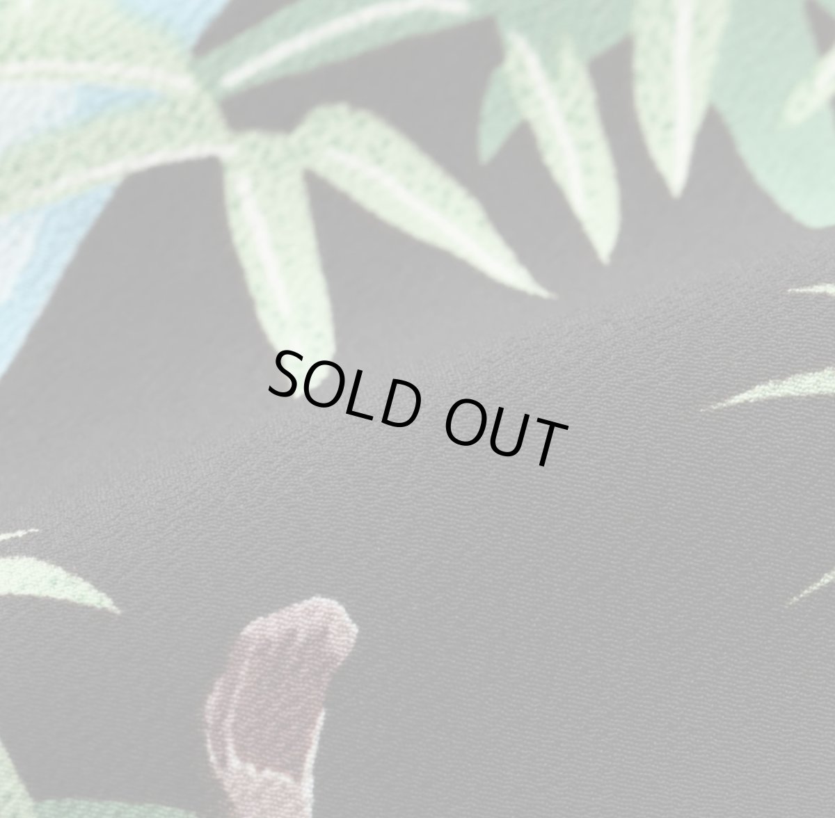 画像16: SUNSURF (サンサーフ) SPECIAL EDITION “SASA TORA” (16)