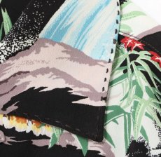 画像8: SUNSURF (サンサーフ) SPECIAL EDITION “SASA TORA” (8)