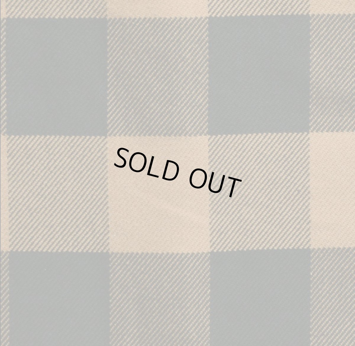 画像13: DELUXEWARE (デラックスウエア) 50s BUFFALO CHECK (13)