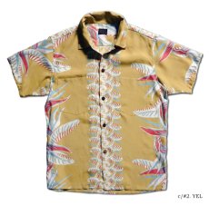 画像3: DELUXEWARE (デラックスウエア) BIRD OF PARADISE (3)